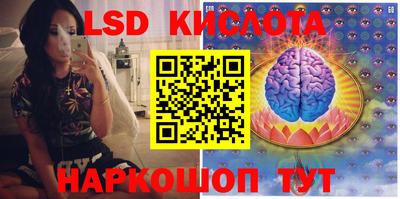 прущие грибы Будённовск