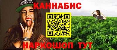 прущие грибы Будённовск