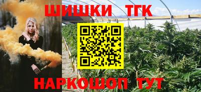 прущие грибы Будённовск
