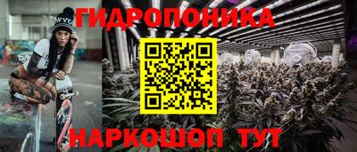 прущие грибы Будённовск