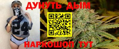 прущие грибы Будённовск