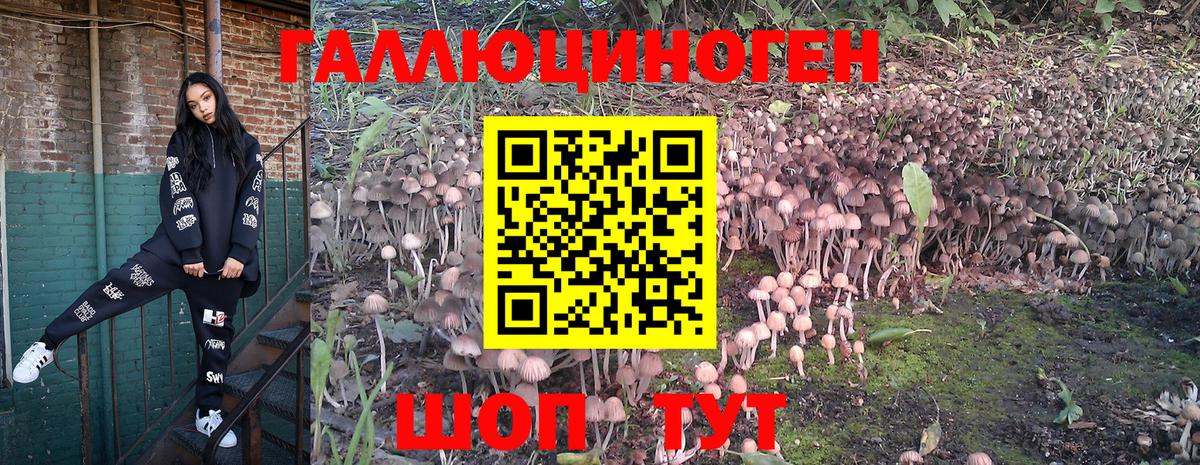 Галлюциногенные грибы Cubensis Полысаево