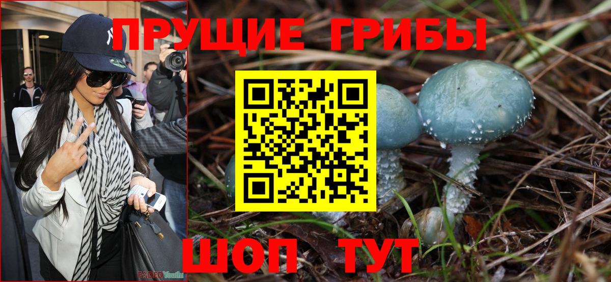 Полысаево  Псилоцибиновые грибы мухоморы  Вход с VPN 